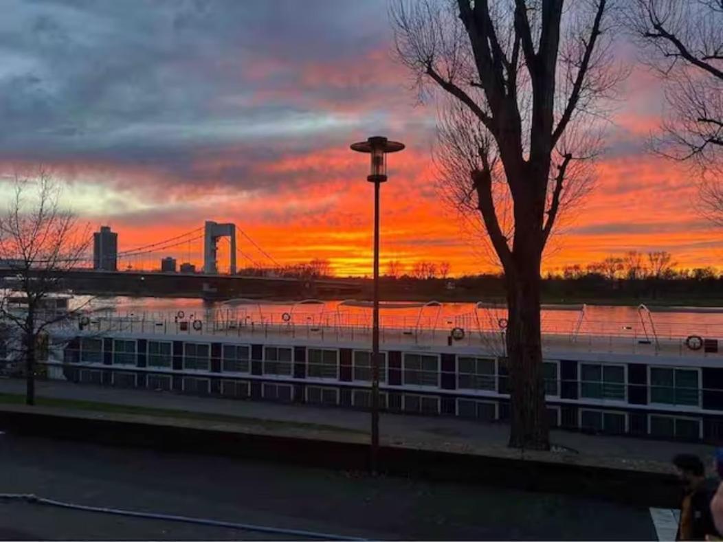 Zimmer In Koeln Экстерьер фото